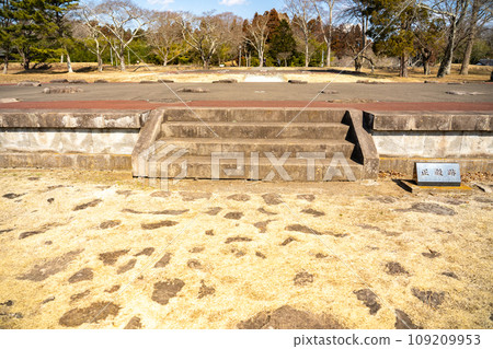 宮城縣多賀城市市多賀城市政府機關遺址 109209953