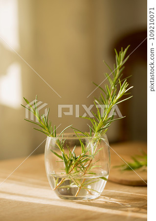 Rosemary in a transparent glass on the table on a sunny morning 109210071