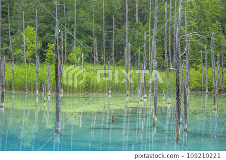 Beautiful blue pond 109210221