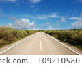 Straight road on Miyakojima 109210580