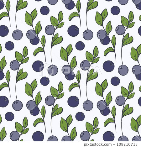 Blueberry on twig seamless pattern 109210715