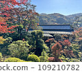 Autumn mountain temple surrounded by autumn leaves 109210782