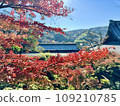Snowy autumn leaves 109210785
