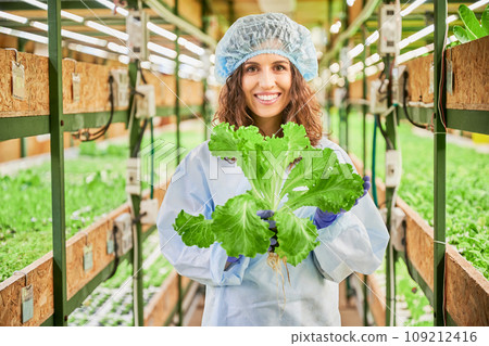 Joyful female gardener holding green lettuce in greenhouse, looking at camera. Happy woman agronomist in disposable cap with leafy plant in hands standing in aisle between shelves with seedlings. 109212416