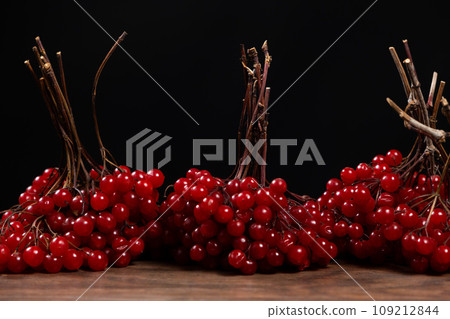 A bunch of ripe viburnum berries on a black background close-up A bunch of ripe viburnum berries on a black background close-up 109212844