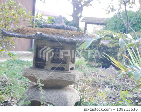 Lantern Japanese style image 109213630