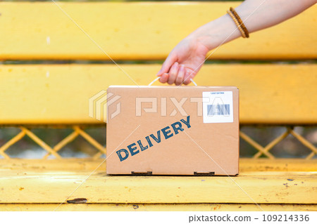 The courier puts a cardboard box with a barcode on the bench. Hand and the parcel in close-up. The concept of Express delivery 109214336