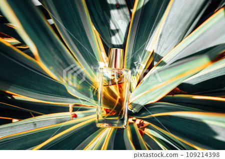 Glass bottle of golden perfume lying in tropical leaves. Top view 109214398
