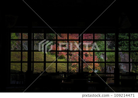 鹿兒島風景與美麗的秋葉 鹿兒島風景與美麗的秋葉 109214471
