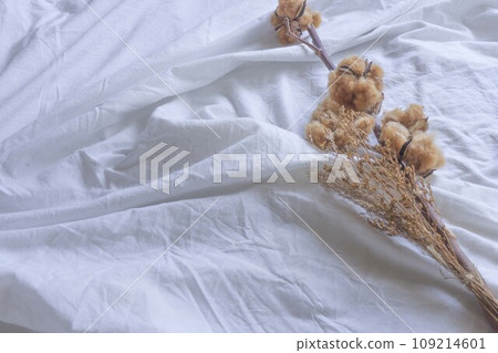 棉床單 109214601