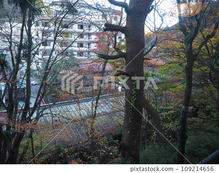 Autumn scenery of Yaba Dam 109214656