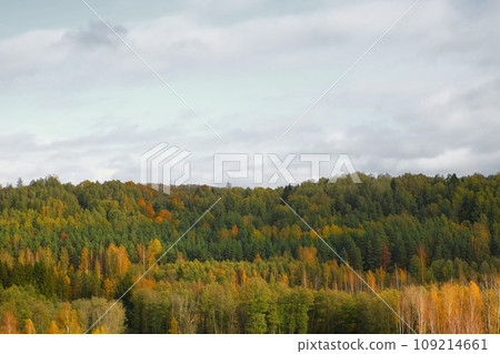 Late autumn in a wild forest area. Low rain clouds over trees on the horizon. Aerial drone shot. Winter moody wood view. Distant mysterious nature landscape. Woodland Valley with a Lake in the far. 4K 109214661