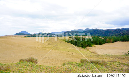鳥取沙丘的風景 109215492