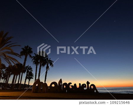 Sunrise on the coast with palm trees (Malaga, Spain) Sunrise on the coast with palm trees (Malaga, Spain) 109215646