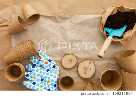 Planting tomato seeds for seedlings 109215994