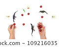 Happy new year 2024 year of dragon. Dinosaurs and Old hands holding red Christmas toys on white background. Christmas concept. Copy Space for text. Front view. 109216035