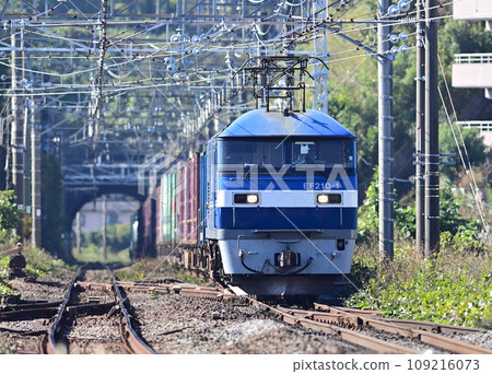 Tokaido Main Line Manazuru JR Freight EF210-1 (Okayama) 109216073