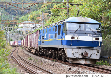 Tokaido Main Line Nebukawa-Hayakawa JR Freight EF210-308 (Suita) 109216108