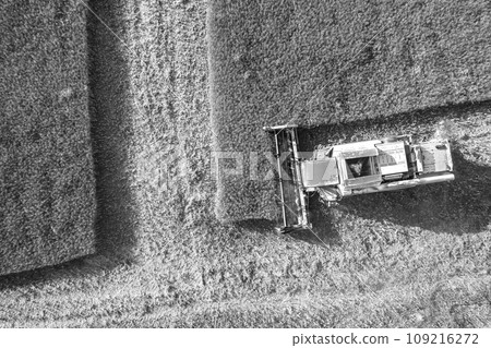 harvesting with combine  109216272