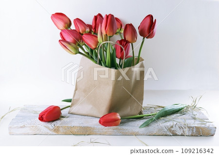 Bouquet of blooming red tulips in a paper bag on a white background, spring flowers 109216342