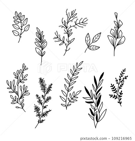 Vector illustration Set of flowers and leaves in doodle hand drawing style. Vector illustration Set of flowers and leaves in doodle hand drawing style. 109216965