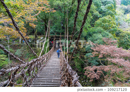 [德島] Iya [秋天]的Kazura橋 109217120