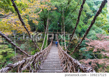 [德島] Iya [秋天]的Kazura橋 109217123