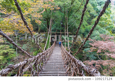 [Tokushima] Kazura Bridge in Iya [Autumn] 109217124