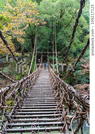 [德島] Iya [秋天]的Kazura橋 109217125