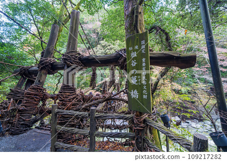 [Tokushima] Kazura Bridge in Iya [Autumn] 109217282