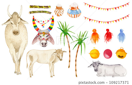 Indian traditional holy cow and yellow, orange marigold flowers, leaves and buds. Indian festival Diwali floral decorations. Clipart. Pongal. Watercolor artistic illustration on a white background. Indian traditional holy cow and yellow, orange marigold flowers, leaves and buds. Indian festival Diwali floral decorations. Clipart. Pongal. Watercolor artistic illustration on a white background. 109217371