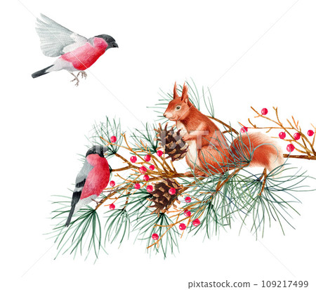 A squirrel sits on tree branches with pine cones. Watercolor art illustration on a white background. For cards, handmade textiles, prints, menus, posters A squirrel sits on tree branches with pine cones. Watercolor art illustration on a white background. For cards, handmade textiles, prints, menus, posters 109217499