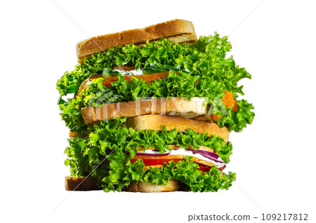 set of sandwiches with fresh salmon, ham, vegetables, salad. Homemade sandwiches. Healthy fast food. Isolate. set of sandwiches with fresh salmon, ham, vegetables, salad. Homemade sandwiches. Healthy fast food. Isolate. 109217812
