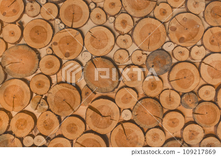 Annual Wooden Rings Sawn Stump Wood Design Abstract Pattern Texture Background Nature Brown 109217869