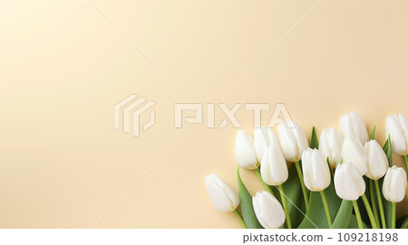 White tulips on the pink background. Valentines background. 109218198