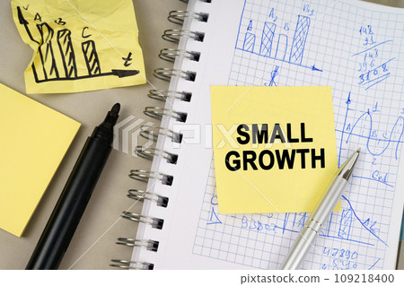 On the table there is a notepad with notes and sticky notes with the inscription - Small Growth On the table there is a notepad with notes and sticky notes with the inscription - Small Growth 109218400