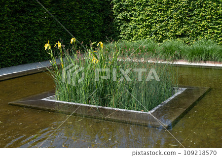 A pond in a modern landscape park. Minimalist geometrical landscape 109218570