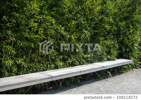 Bench with bamboo in the public garden. Beautiful natural park in the summer. Simple wooden bench in Japanese style in an outdoor park on a sunny day 109218572