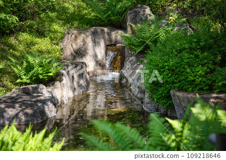 Waterfall in Japanese garden in summer 109218646