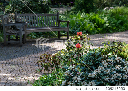 Bench with flowers in the public garden. Beautiful natural park with blooming bushes in the summer. Simple wooden bench in an outdoor park on a sunny day Bench with flowers in the public garden. Beautiful natural park with blooming bushes in the summer. Simple wooden bench in an outdoor park on a sunny day 109218660