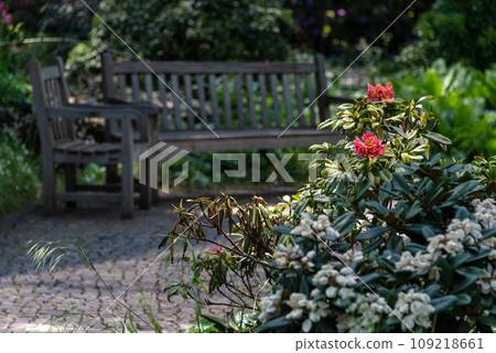 Bench with flowers in the public garden. Beautiful natural park with blooming bushes in the summer. Simple wooden bench in an outdoor park on a sunny day 109218661