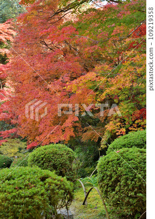 Shisen-do秋葉 109219358