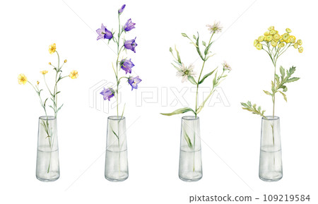 Watercolor botanical illustration on isolate white background. Clipart of meadow and forest flowers in a glass vase. Yellow field flowers - common tansy and buttercup. Bluebell and stellaria holostea 109219584