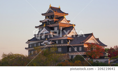 岡山天守閣（夜景）2 109219641