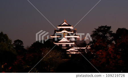 Okayama Korakuen Light-up 6 Okayama Korakuen Light-up 6 109219726