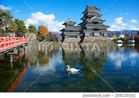 Matsumoto Castle, buried bridge and swans in autumn leaves Matsumoto Castle, buried bridge and swans in autumn leaves 109220102