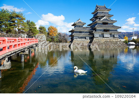 Matsumoto Castle, buried bridge and swans in autumn leaves Matsumoto Castle, buried bridge and swans in autumn leaves 109220104
