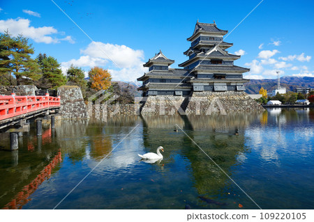 Matsumoto Castle, buried bridge and swans in autumn leaves 109220105