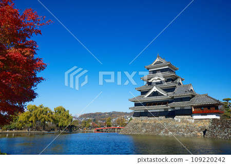Autumn leaves of maple and Matsumoto Castle Autumn leaves of maple and Matsumoto Castle 109220242