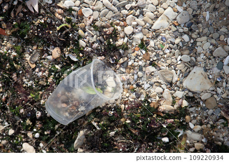 Plastic drinking cup and other trash on sea beach 109220934